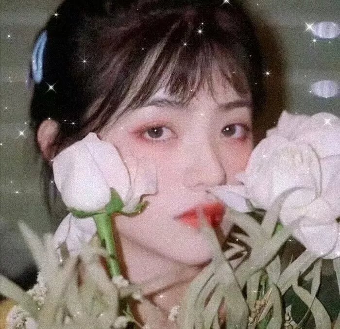 追星星的人