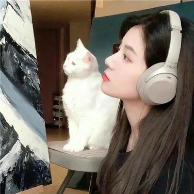 狡猾的兔小姐